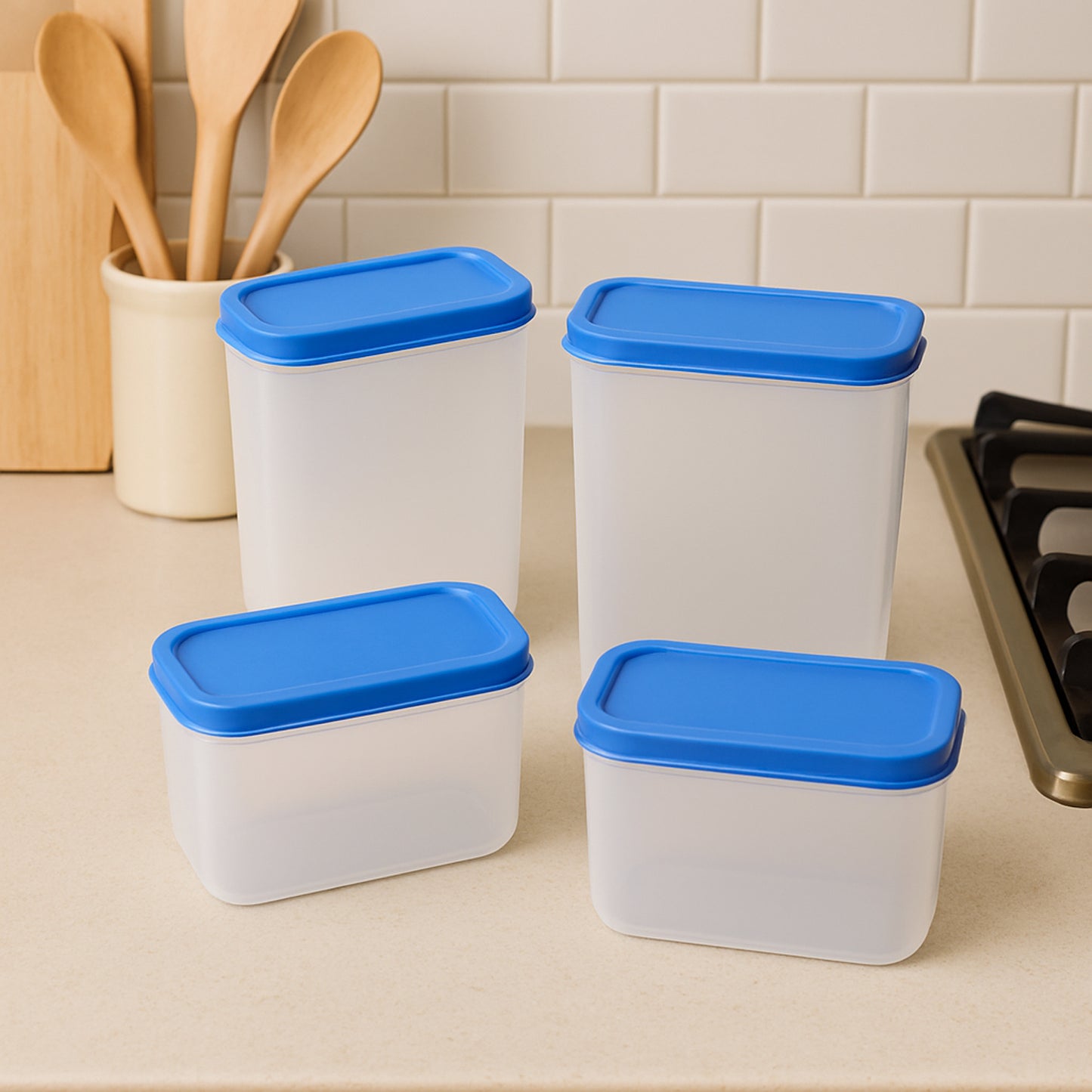 Apex Glory Plastic Storage Container Box Set (4 Pc)